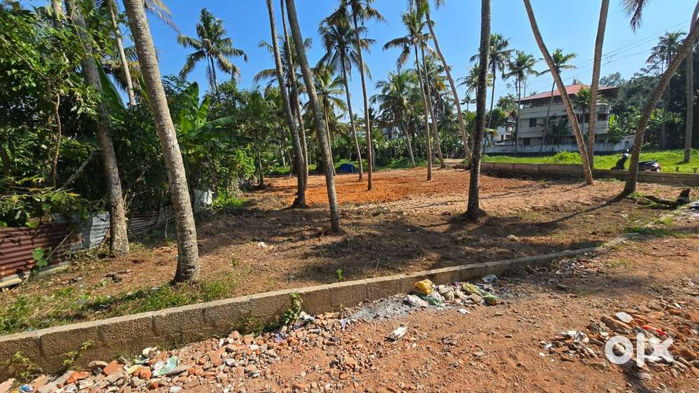 Residential plot for sale near ST Thomas school near chandhavila