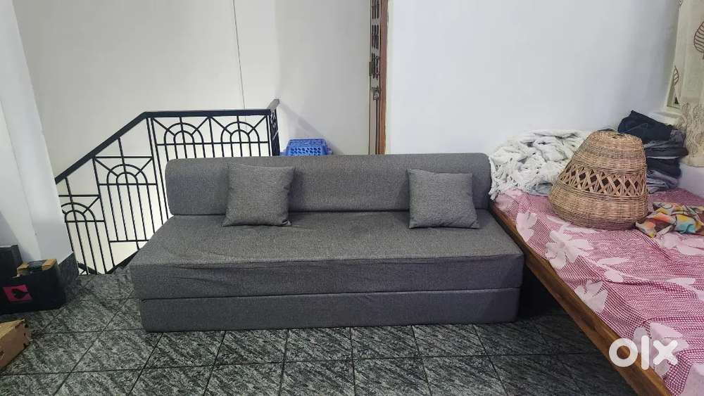 Wakefit Flipper 3 seater sofa-cum-bed