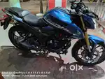 Honda hornet for sale