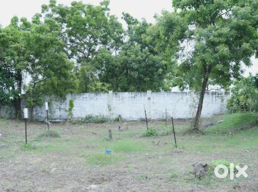 Plot sales arani sevur