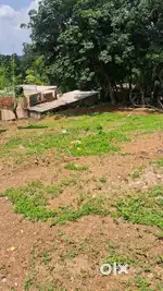 NEDUMANGADU  30 cent house plot for sale - kollamkav