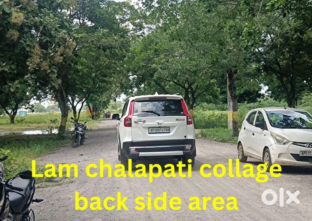 Chalapati college కి దగ్గరగా Gorantla లో ప్లాట్