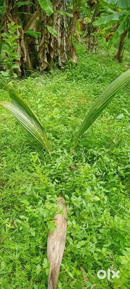 for an agricultural farm 4 pm to 8 pmduty