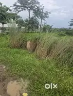 Plot for sale at gudiapokhari