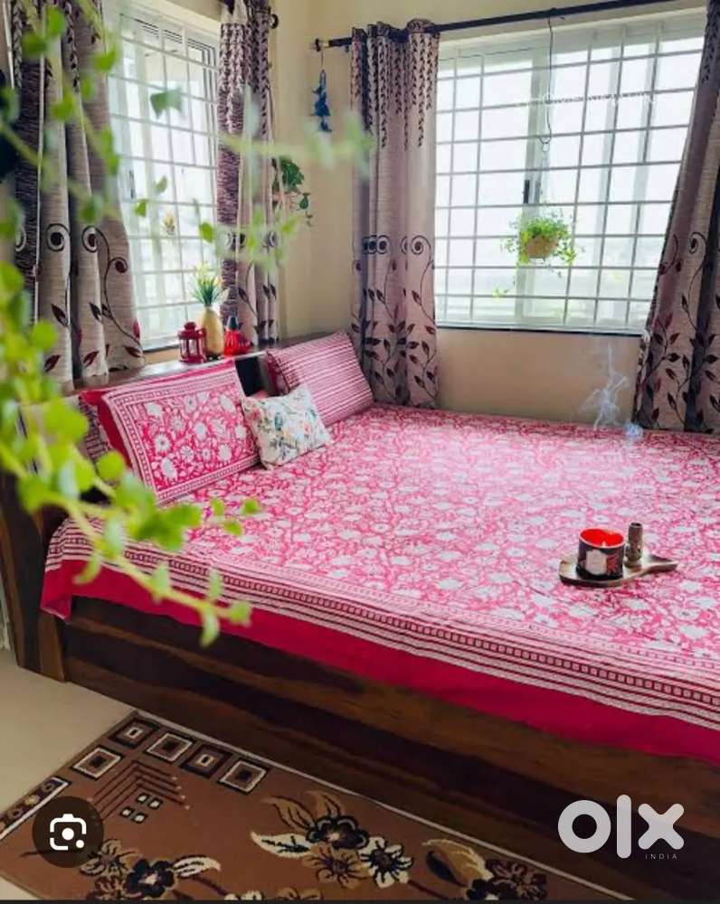 Need a female  room mate