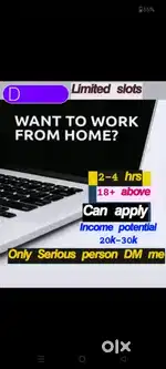 WORK FROM HOME OPPORTUNITY