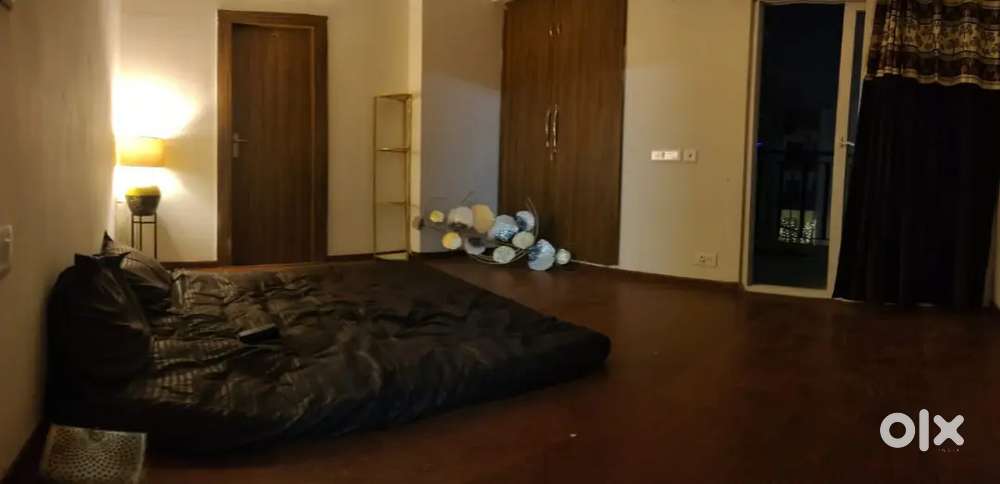 Need Flatmate in Amrapali Centurian Park-Terrace Homes in Noida Ext.