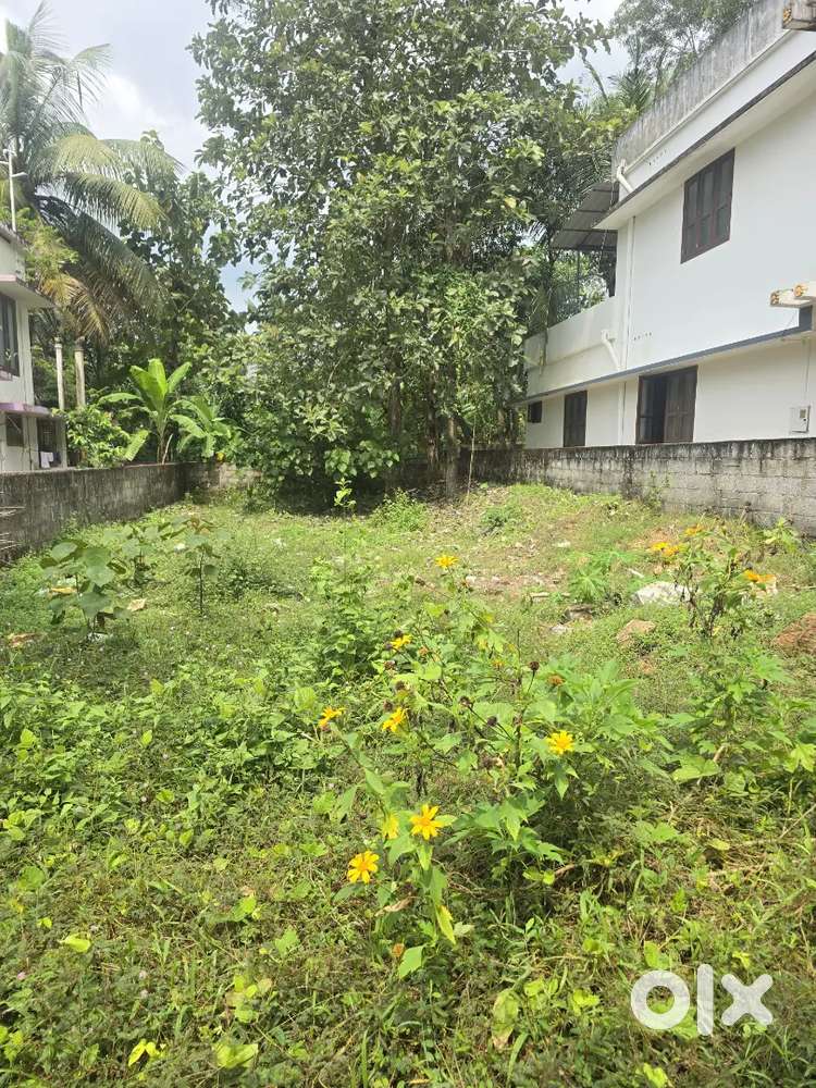 5CENT HOUSE PLOT CHANDAVILA NARIKKAL 100MTR BYPASS ROAD