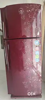 Goodrej Eon double door Fridge