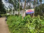 Land  property
