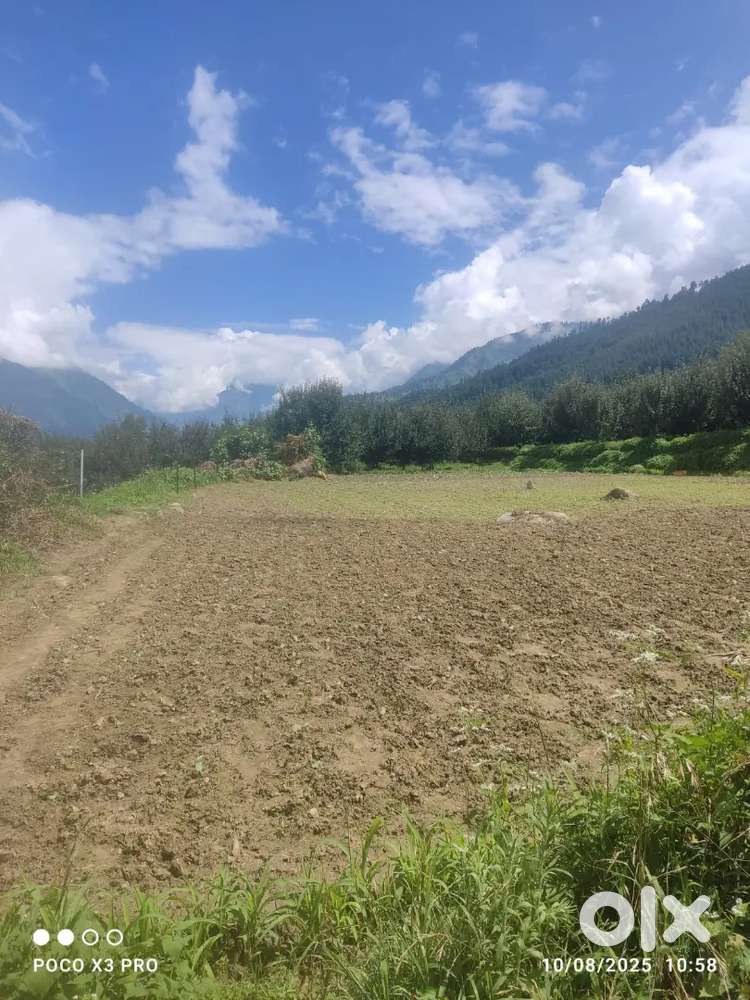 Buy Land in himachal with Registry,MC/TP approved