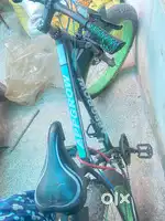 9 gear Fat Tire Bycycle, Good Condition,