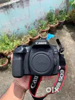 Canon 80D with 18-55mm & 55-250mm lenses + v860  flash