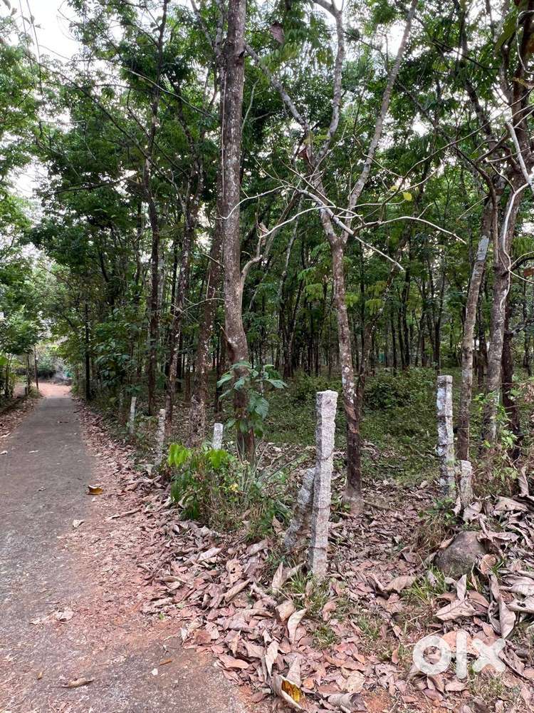 Plot for sale at Adoor paruthipara( vadakkadathucavu