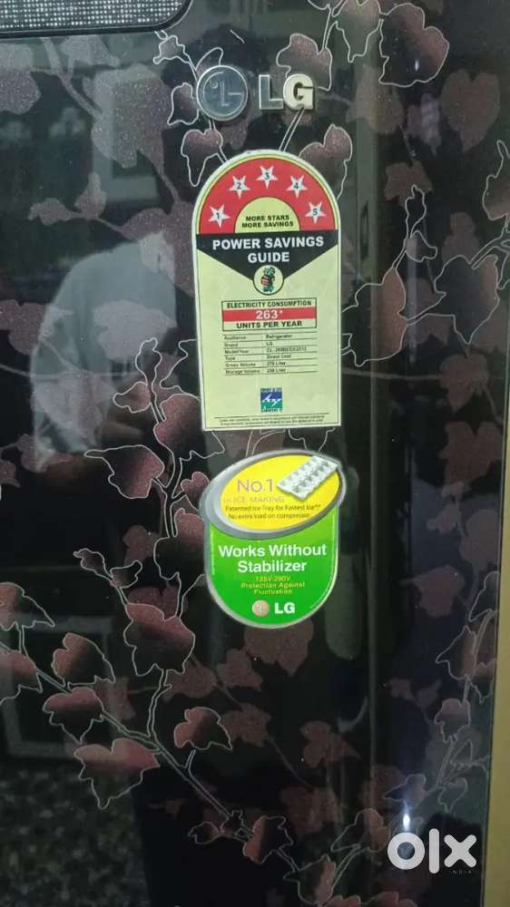 LG 250 liter single door