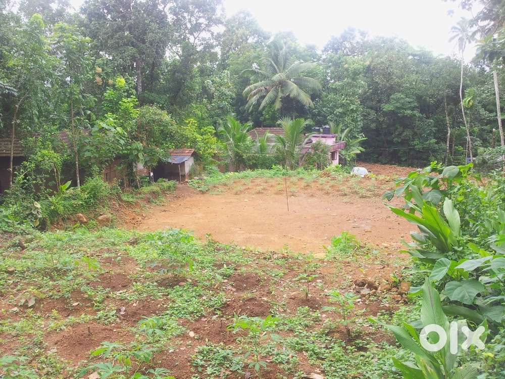 Land for sale in Ranni (17 cent and 22 cent) 39 Cent in Total