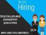 Data Entry, Office Assistant, Telecaller etc.