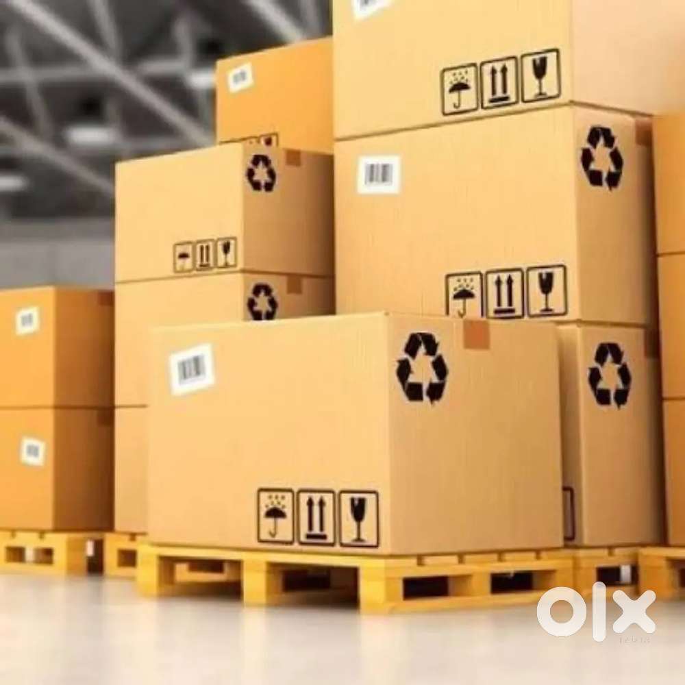 Packing Boys Room Food day night work