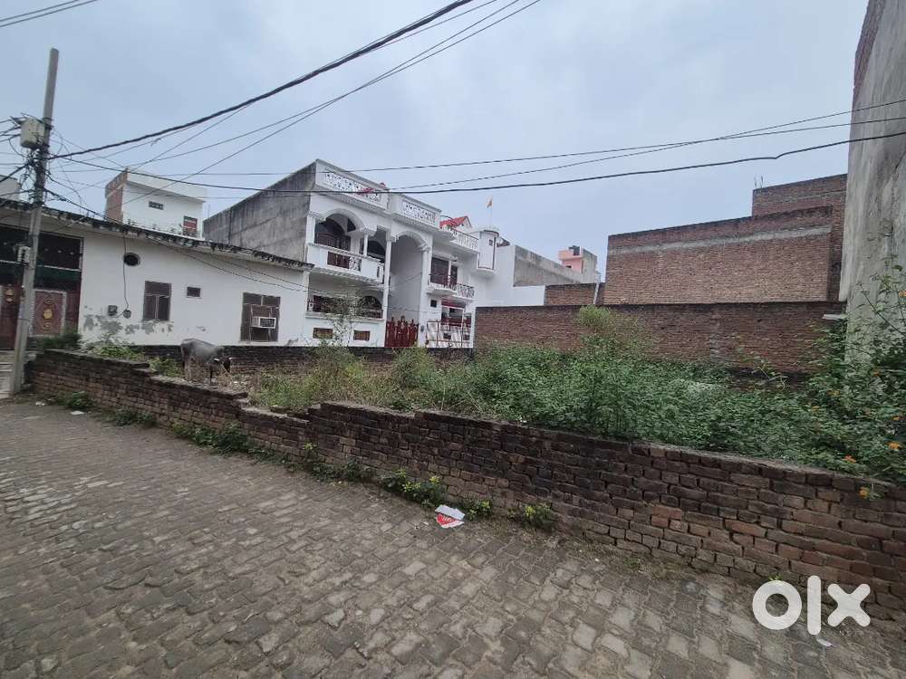 Contact only if u r interested