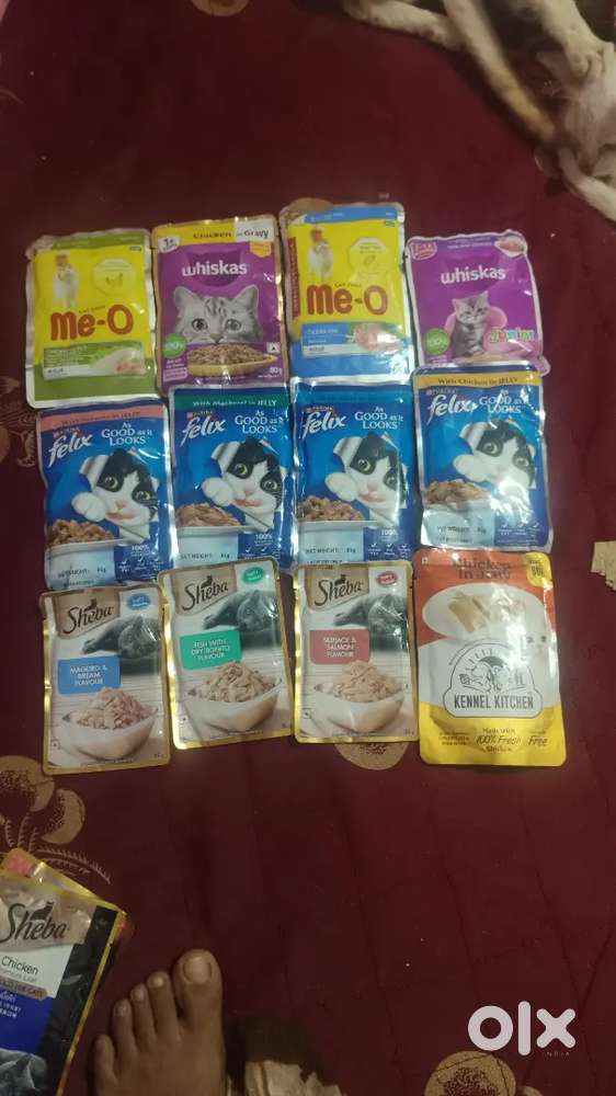 Cat wet food