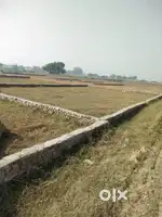 Good Plot Good future