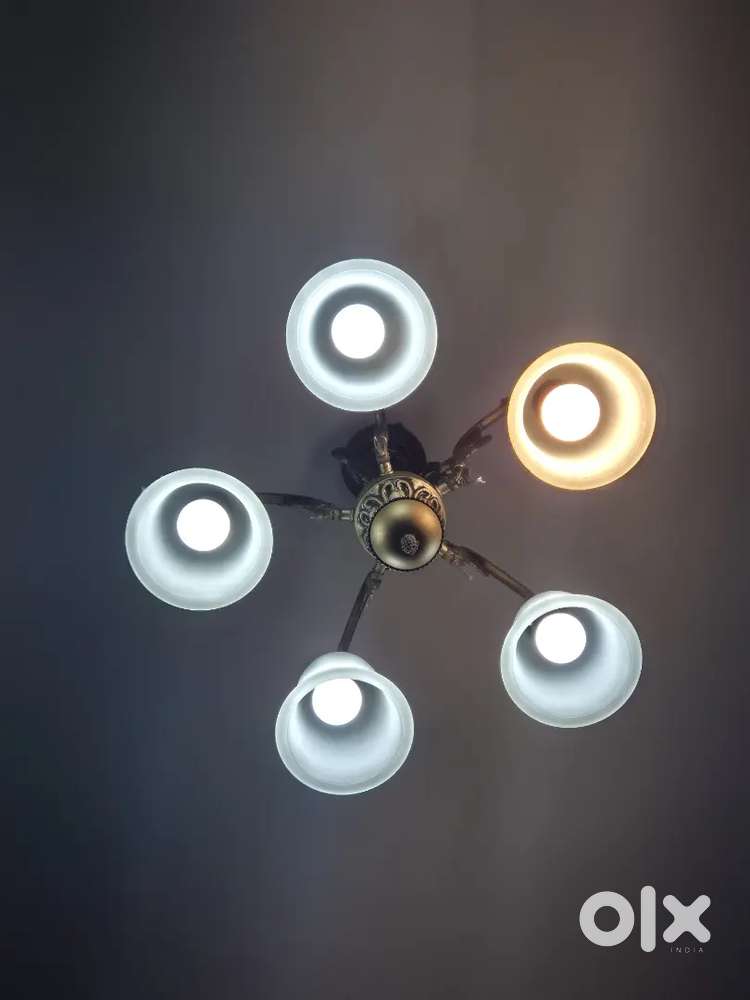 Ceiling Light