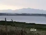 Backwater Facing Land for Sale!  - 6.5 acres land