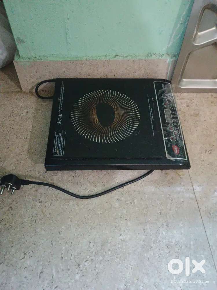 Pigeon Induction 1800 W