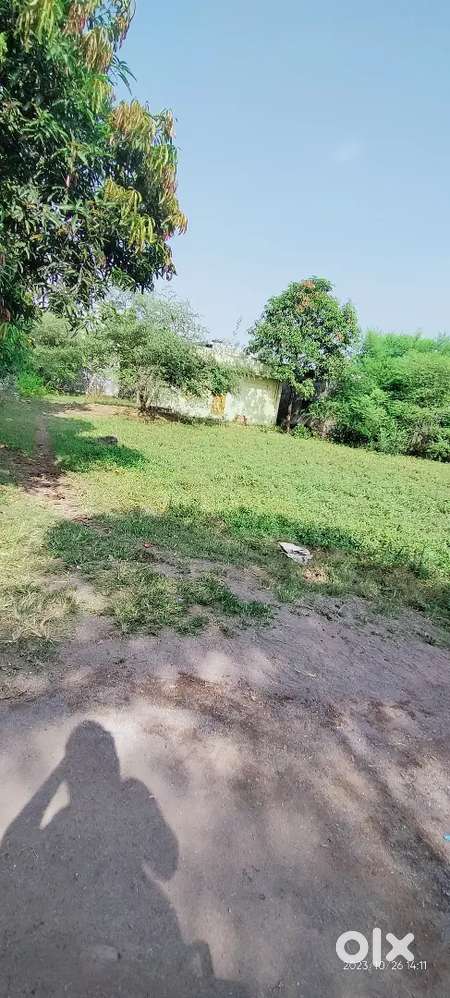 Janjgir plot sell