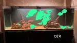 4feet solar booster fish aaquarium light