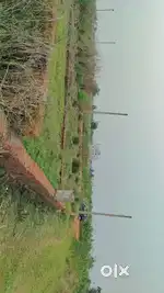 Bhubaneswar, Pitapalli NH 16 to400mtr distance Residential Project.
