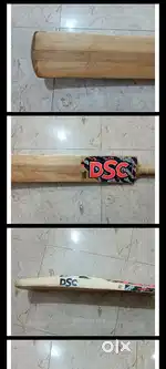 DSC roar hunter fearless cricket bat
