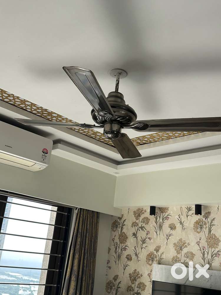 2 Havells Ceiling Fan (Black, Antique Nickel)