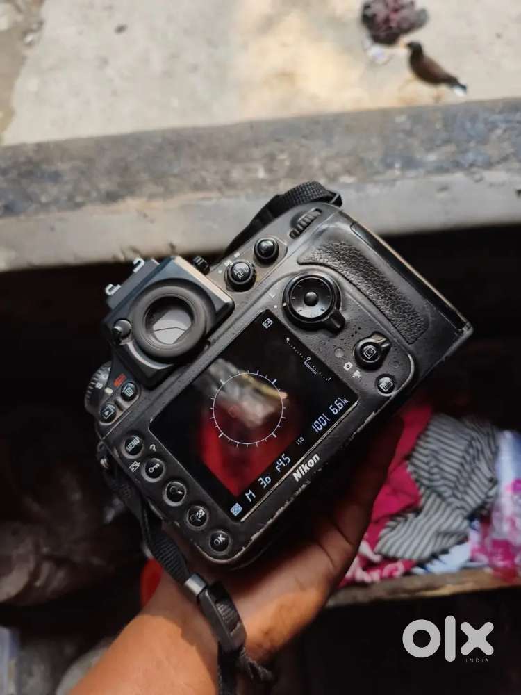 Nikon d800. Full frame