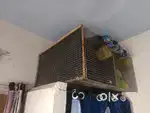 Love Birds Cage ( Koondu ) Double