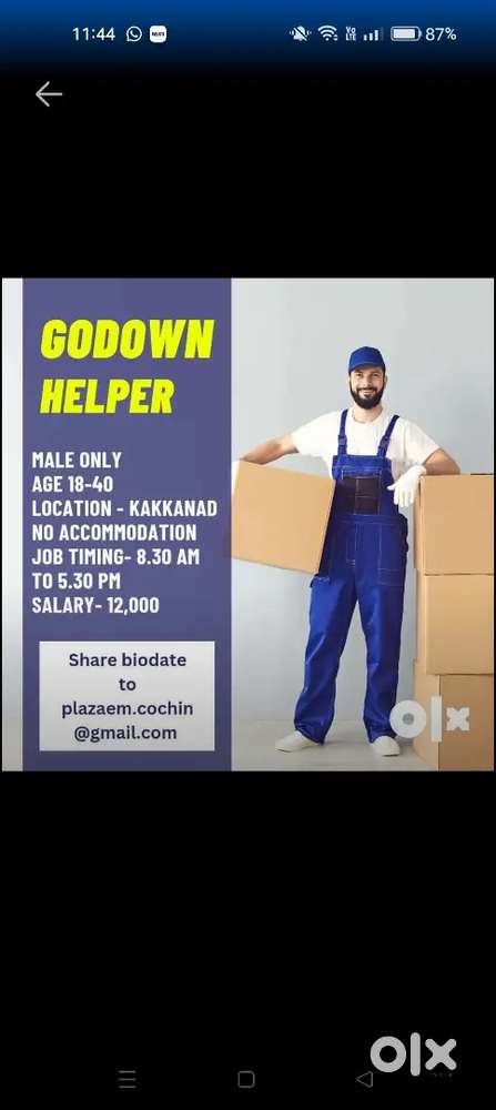Warehouse ASSISTANT & Package executive