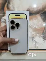 14 pro gold 256 indian