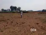Agriculture Land