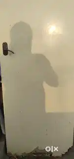 Plywood Door
