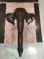 Elephant Head