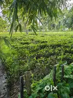 2 katha land for urgent sale