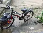 Tokyo racoon