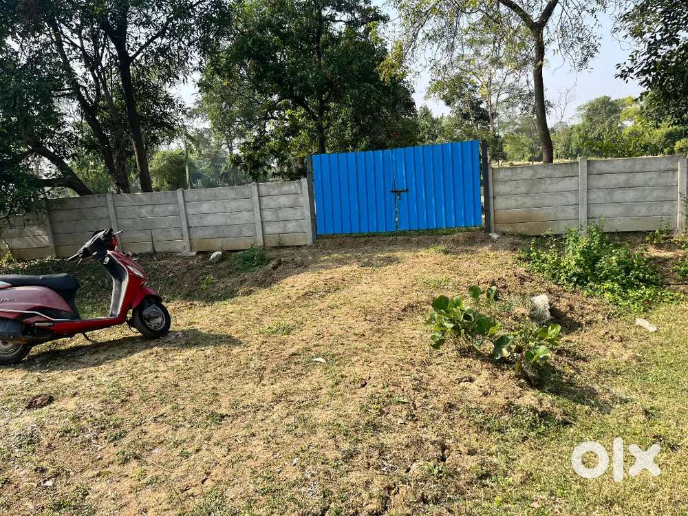 बैमा नगोई में आधा एकड़ खेत सरकंडा से 9 किलोमीटर की दूरी पर स्थित है