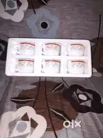 Larah Borosil 6 pcs Cup set