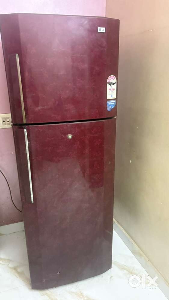 LG fridge works without stabilizer 4star rating