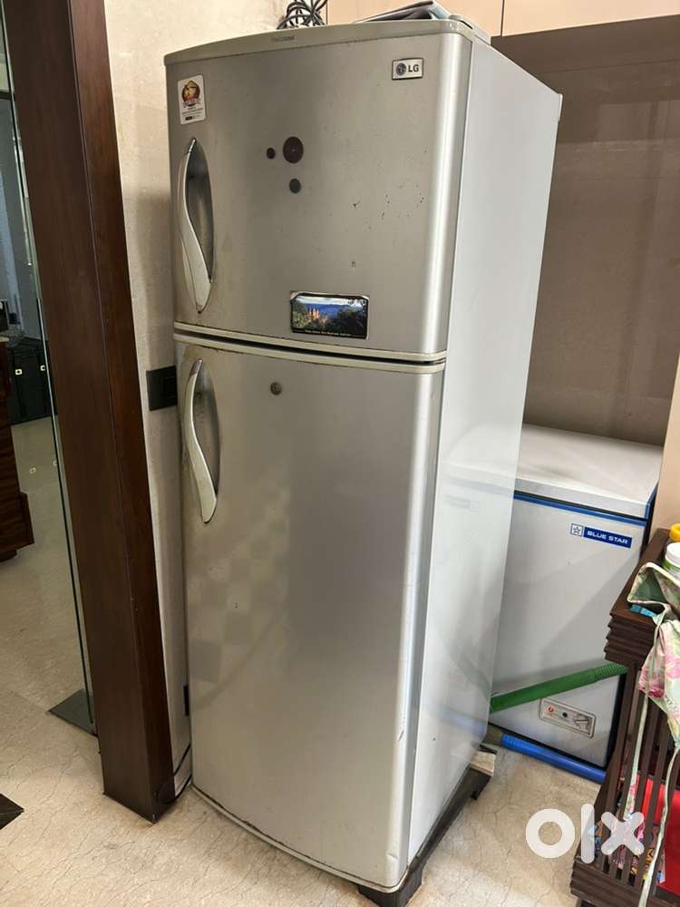 Lg double door