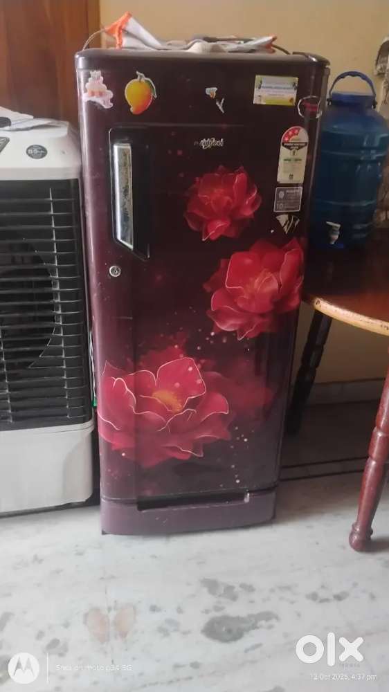 Singal door fridge