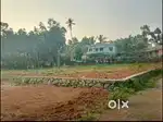 House plot Kozhippilly  KOTHAMANGALAM **കോഴിപ്പിള്ളി