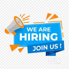 Receptionist (ladies only)and telecaller (also) and supervisor
