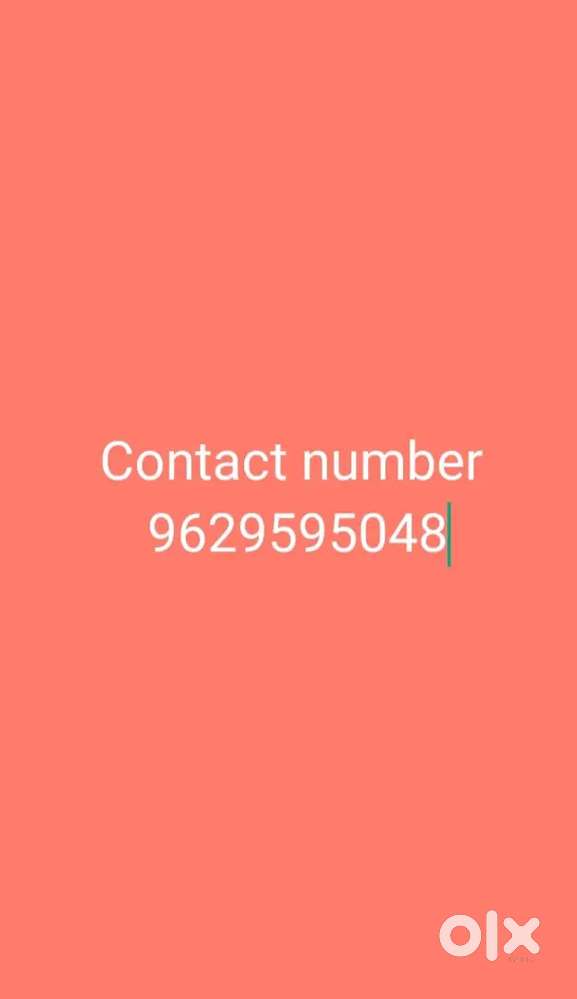 வீரா தட்டு வடை கடையில் பணிபுரிய பெண் தேவை  மாலை 4 மணி முதல் 9 மணி வரை